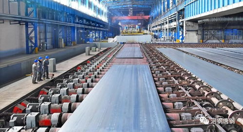 聚焦∣写意“一带一路”的河钢唐钢元素 重庆技术服务新篇章